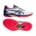 Dámska tenisová obuv Asics Solution Speed FF 1042A002-102 HARD