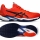 Pánska tenisová obuv Asics  Solution Speed FF 3 Clay 1041A437-800