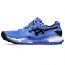 Pánska tenisová obuv Asics Gel Resolution 9 Clay 1041A375-401 modrá