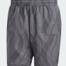 Tenisové kraťasy Adidas Club Tennis Graphic Short IP1884