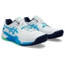 Pánska tenisová obuv Asics Resolution 9 Clay 1041A375-103