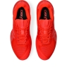 Pánska tenisová obuv Asics  Solution Speed FF 3 Clay 1041A437-600