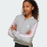 Dievčenská mikina Adidas Essentials Full-Zip Hoodie Kids JJ0949 šedá