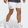 Tenisové kraťasy Adidas Club Tennis Graphic Short JM1200