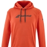 Pánska mikina s kapucňou Babolat Exercise Hood Sweat 4MP2041-5061
