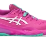 Pánska tenisová obuv Asics Resolution X Clay 1041A485-700