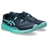 Pánska tenisová obuv Asics Resolution X Clay 1041A485-404