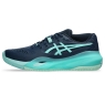 Pánska tenisová obuv Asics Resolution X Clay 1041A485-404