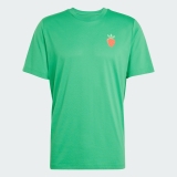 Pánske tričko Adidas Tennis Graphic Tee JV8496 zelené